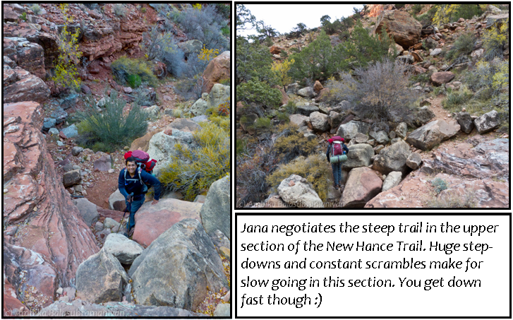 Rocky Trails 