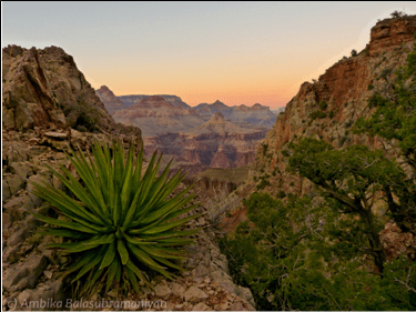 Evening Glow in Red Canyon