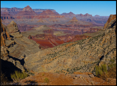 Red Canyon Overlook