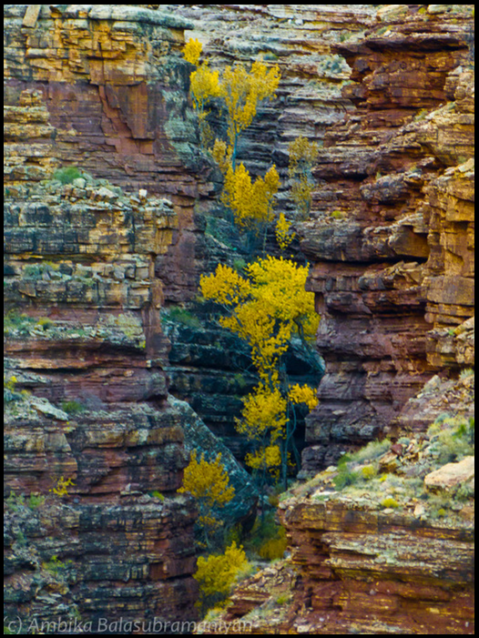 Fall in Slot Canyon