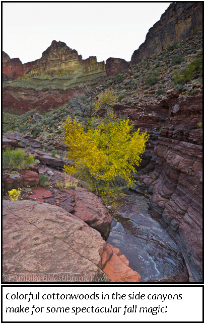 Red Canyon Camp