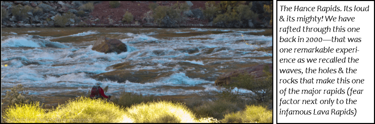 Hance Rapids