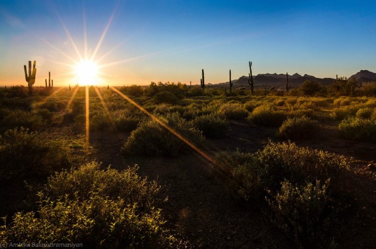 11018778_945362585476022_6075072487095630718_n